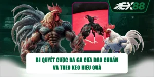 Bí Quyết Cược Đá Gà Cựa Dao Chuẩn Và Theo Kèo Hiệu Quả