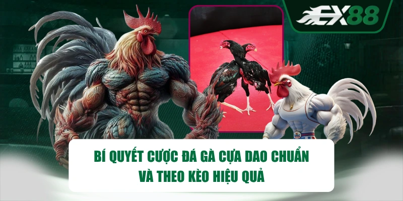 Bí Quyết Cược Đá Gà Cựa Dao Chuẩn Và Theo Kèo Hiệu Quả